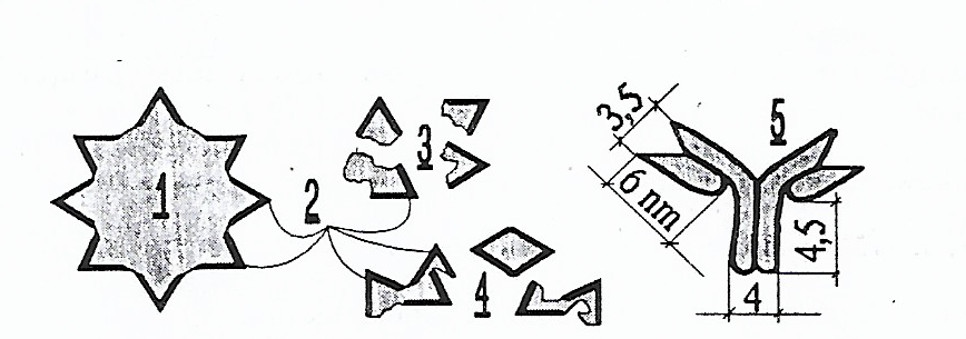 Schéma antigènes-anticorps