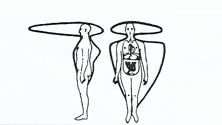 Un biochamps de l’homme